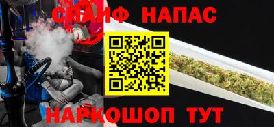 дмт Кингисепп