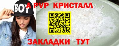 дмт Кингисепп