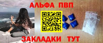 дмт Кингисепп
