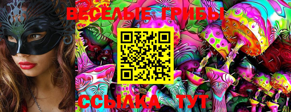 Псилоцибиновые грибы мухоморы Ярославль