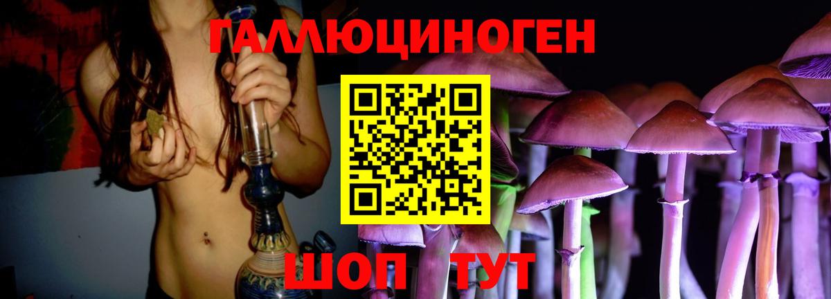 Псилоцибиновые грибы прущие грибы  Ярославль 